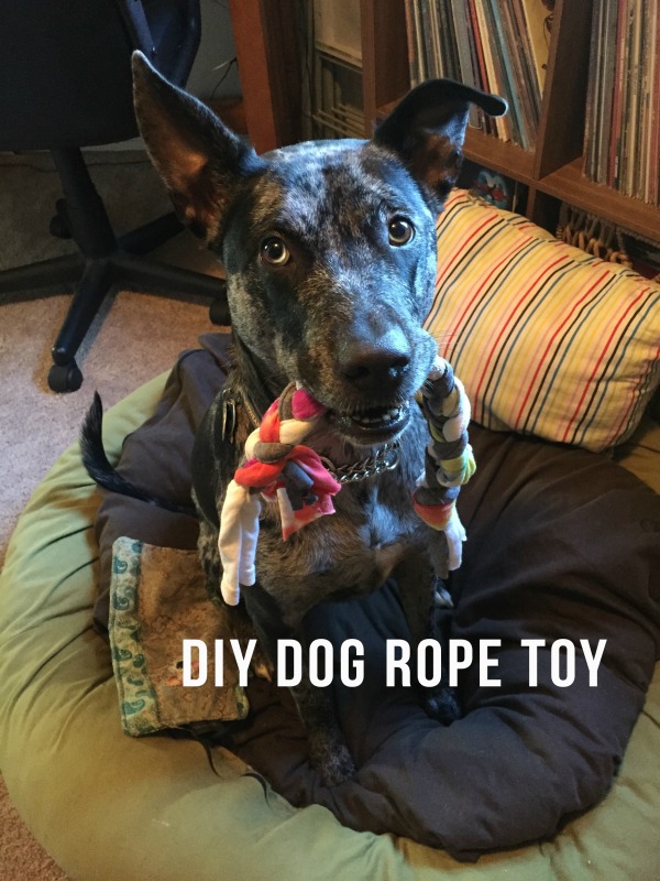 Shelby Clarke - DIY Dog Rope Toy