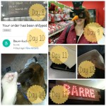 100 Happy Days - Week 2