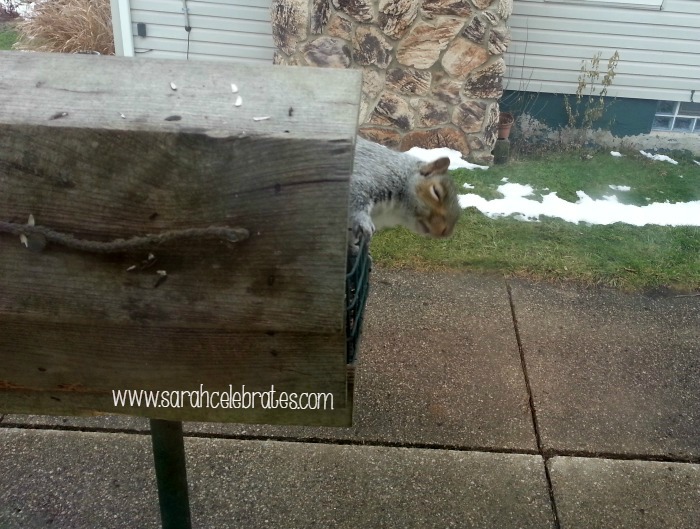 Wordless Wednesday - If I can't see you | Sarah Celebrates