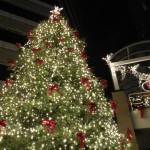 Wordless Wednesday - Tree Lighting