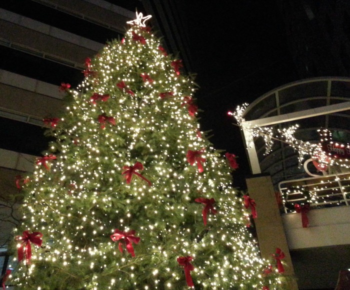 Wordless Wednesday - Tree Lighting