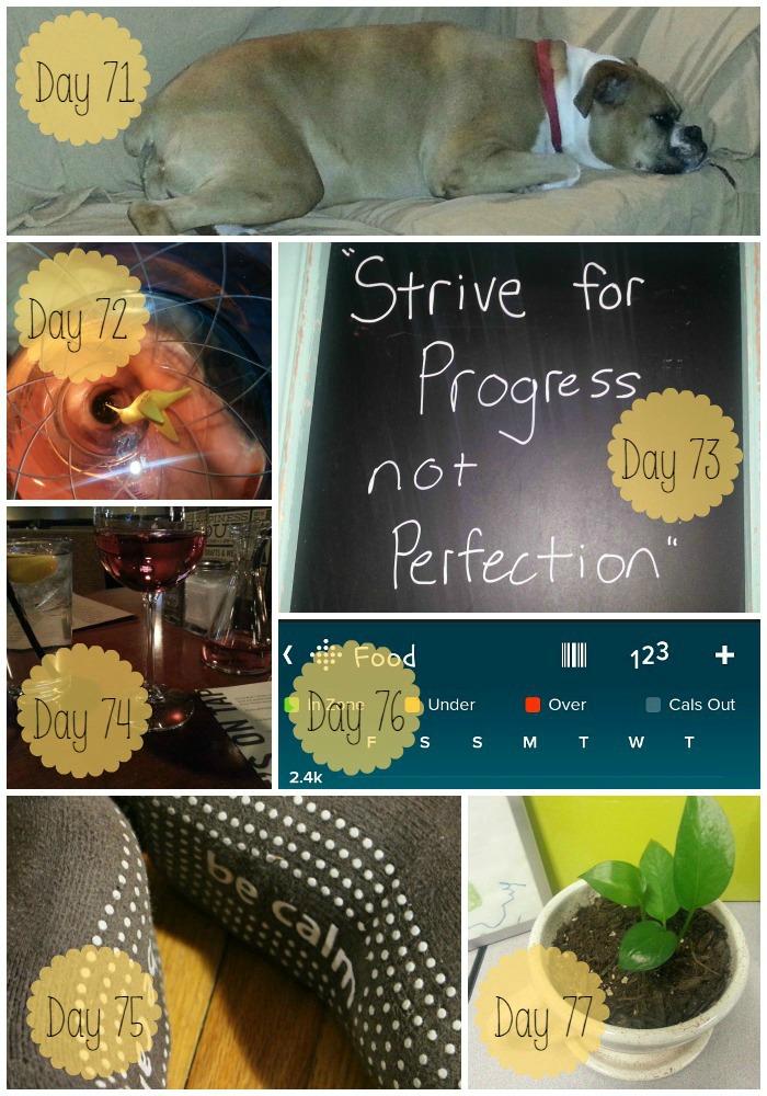 100 Happy Days - Week 11 | Sarah Celebrates