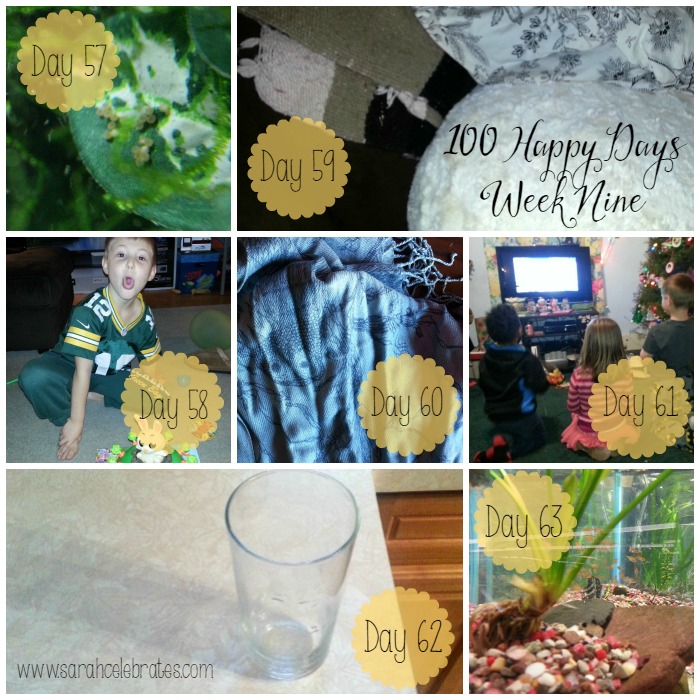 100 Happy Days - Week 9 | Sarah Celebrates