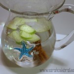 Well With Water - Apple Cinnamon Water - Add Water | Sarah Celebrates