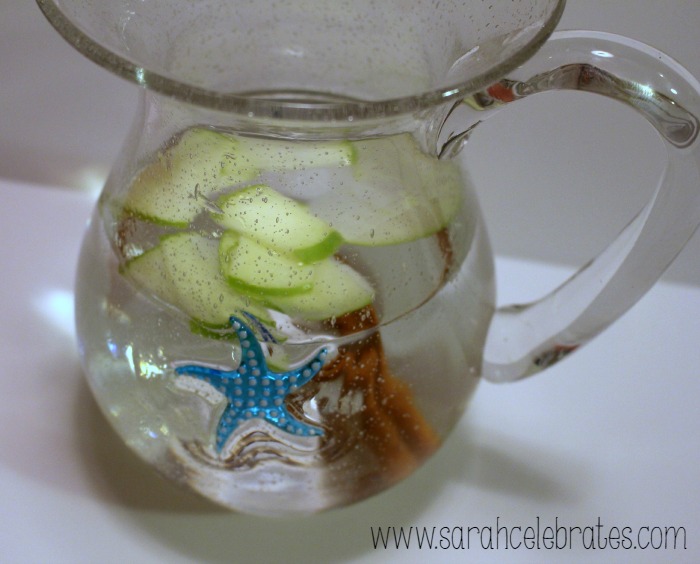 Well With Water - Apple Cinnamon Water - Add Water | Sarah Celebrates