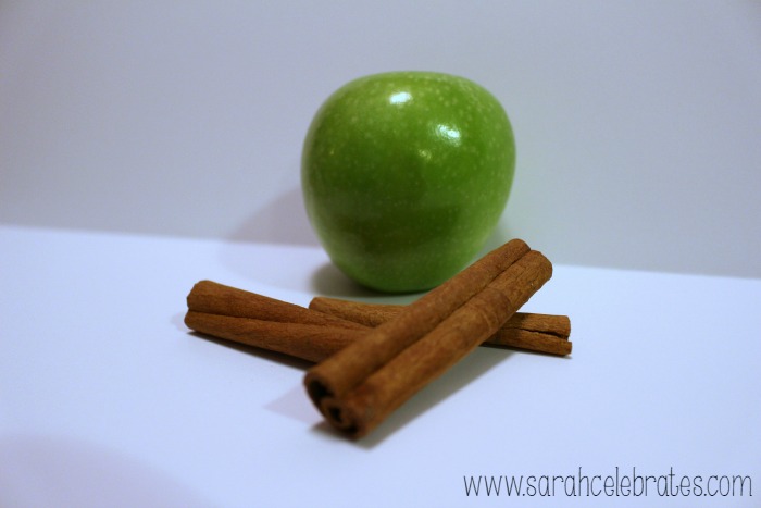 Well With Water - Apple Cinnamon Water - Apples and Cinnamon | Sarah Celebrates