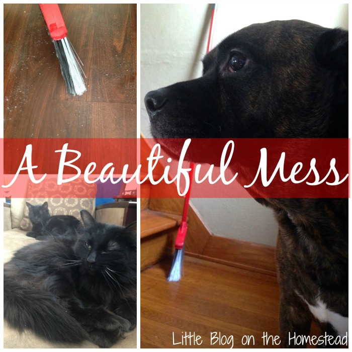 Beautiful Mess, Little Blog on the Homestead - A #2usestuesday Feature