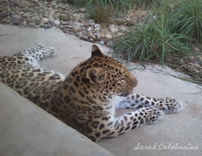 Places-I-Have-Been-List-19-52List2015-Trip-To-Pittsburgh | Sarah Celebrates