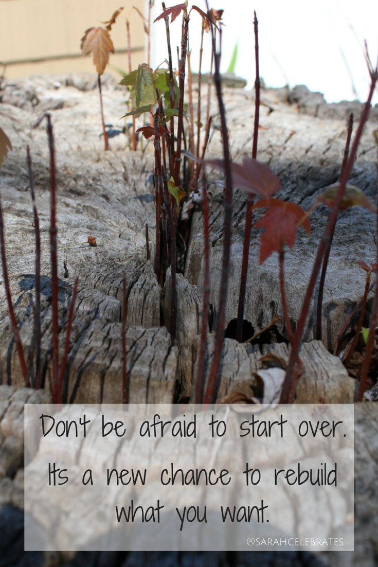 Don't be afraid to start over - Monday Motivation - Sarah Celebrates