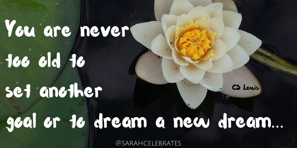 Set Another Goal, Dream Another Dream