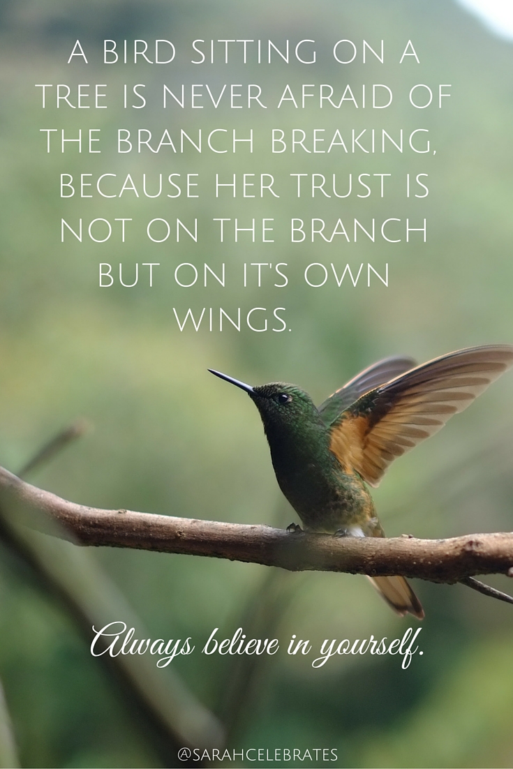 A bird sitting on a tree is never afraid of the branch breaking, because her trust is not on the branch but on it's own wings. #MondayMotivation