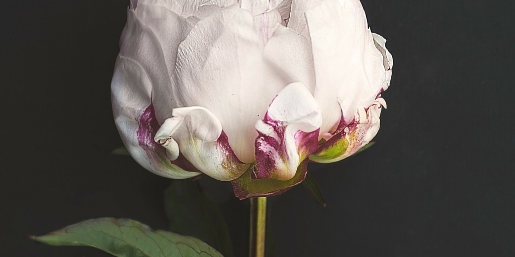 2016 Word of the Year - Simplicity