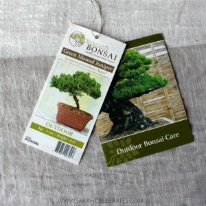 Keep Calm and Grow On - Thank goodness its an outdoor plant #BringOnZen #ad