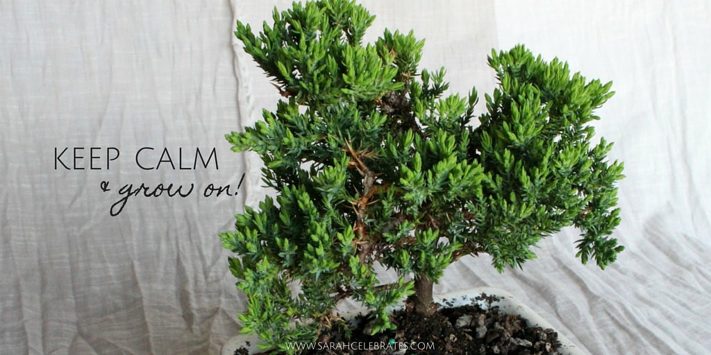 Keep Calm and Grow On #BringOnZen #ad