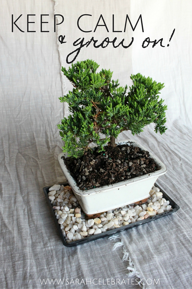 Keep Calm and Grow On