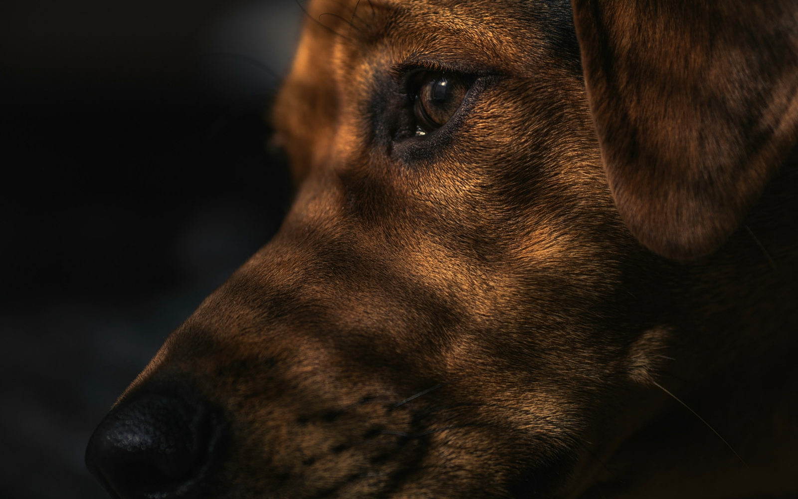 People and their rituals. They cling to things so hard sometimes. #MondayMotivation