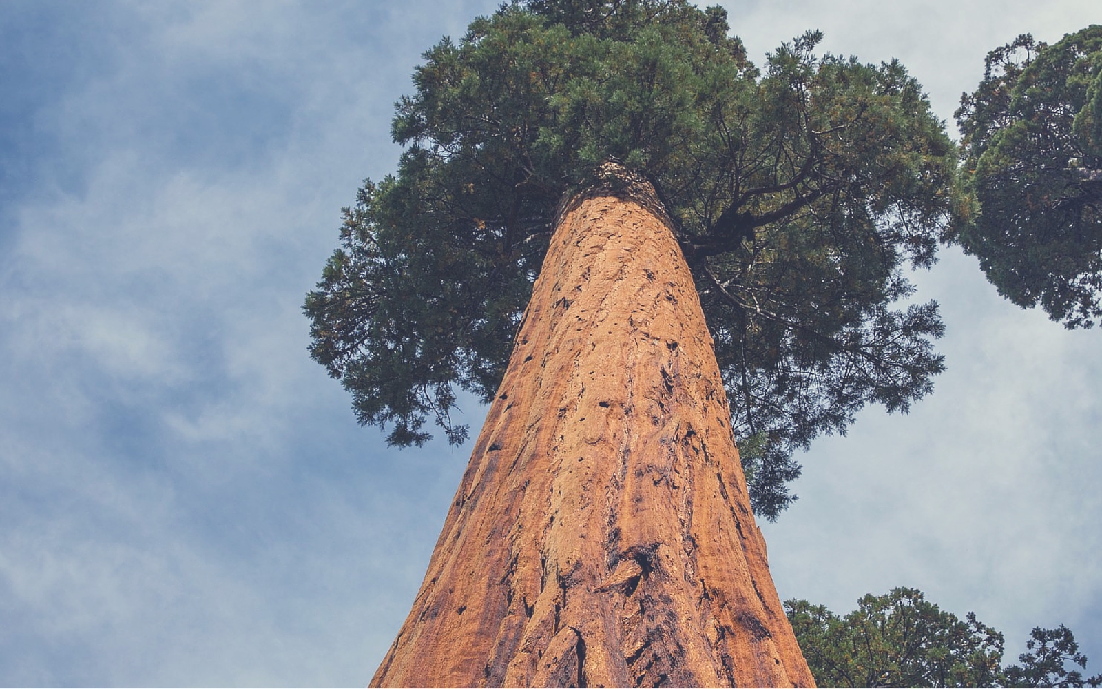 Strive for progress, not perfection. #MondayMotivation