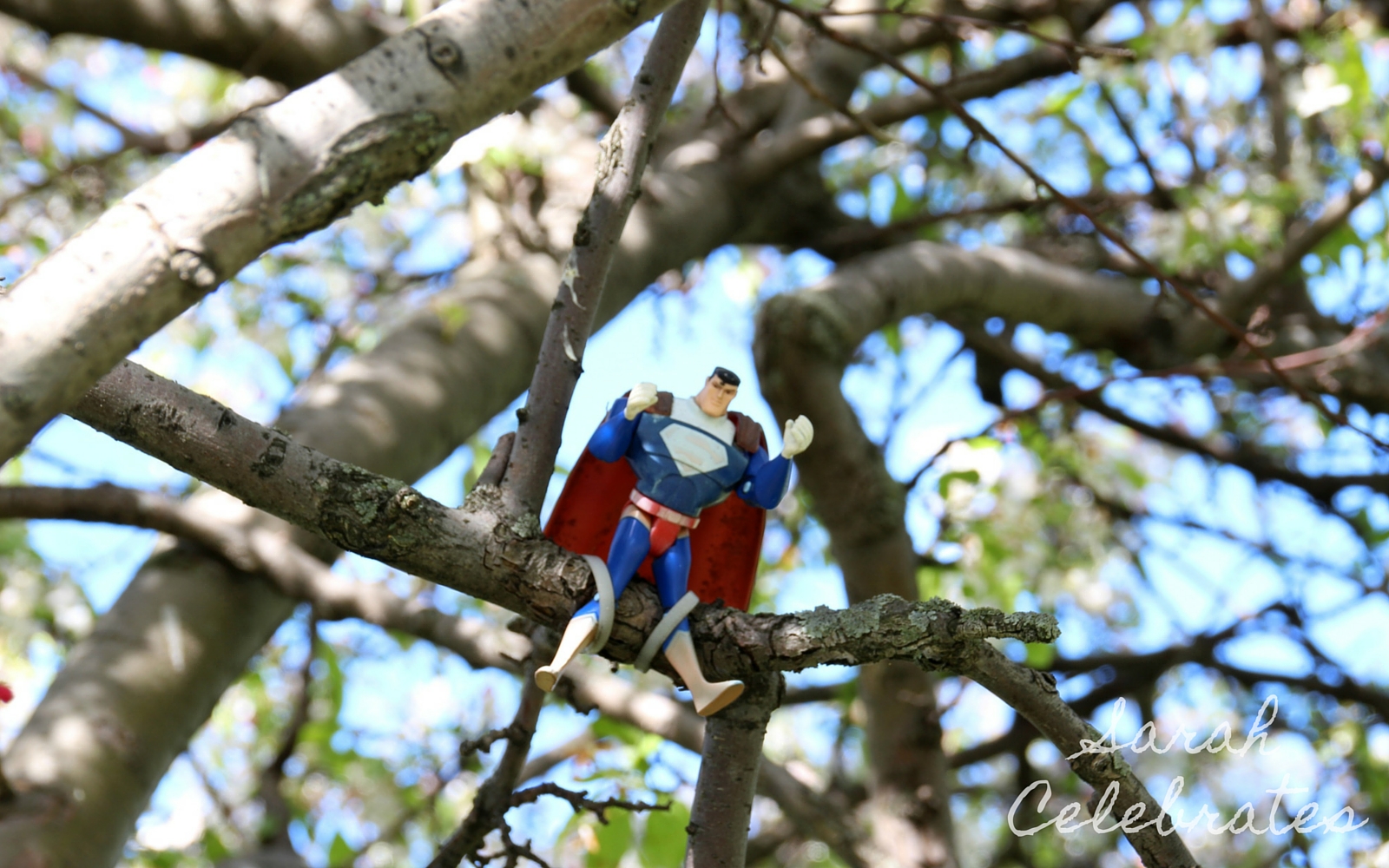 Super hero watching over a super man