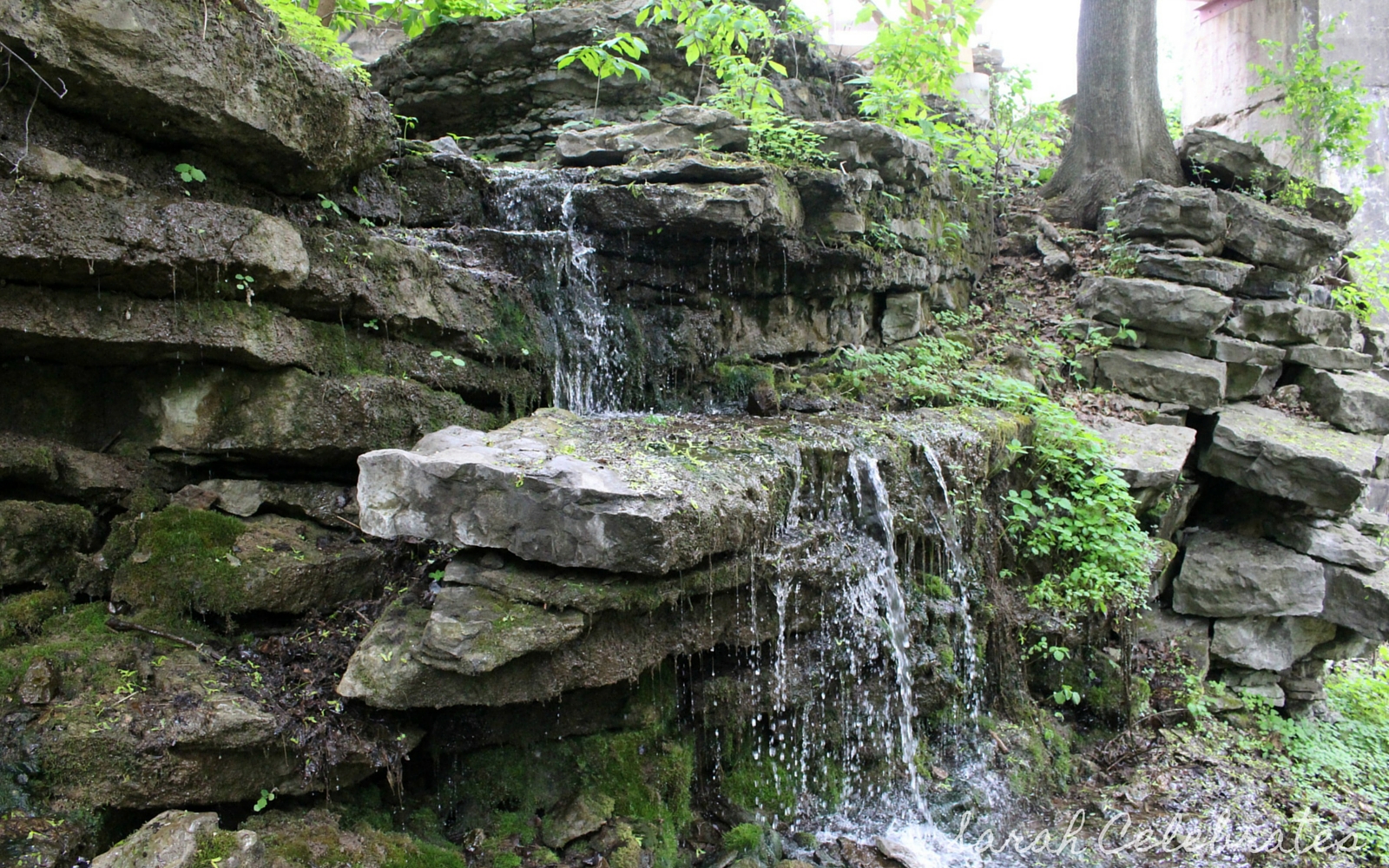 Tiny Waterfall | Sarah Celebrates #Captured