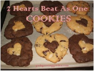 2 hearts cookies | Faves so far at #Pinbellish 42