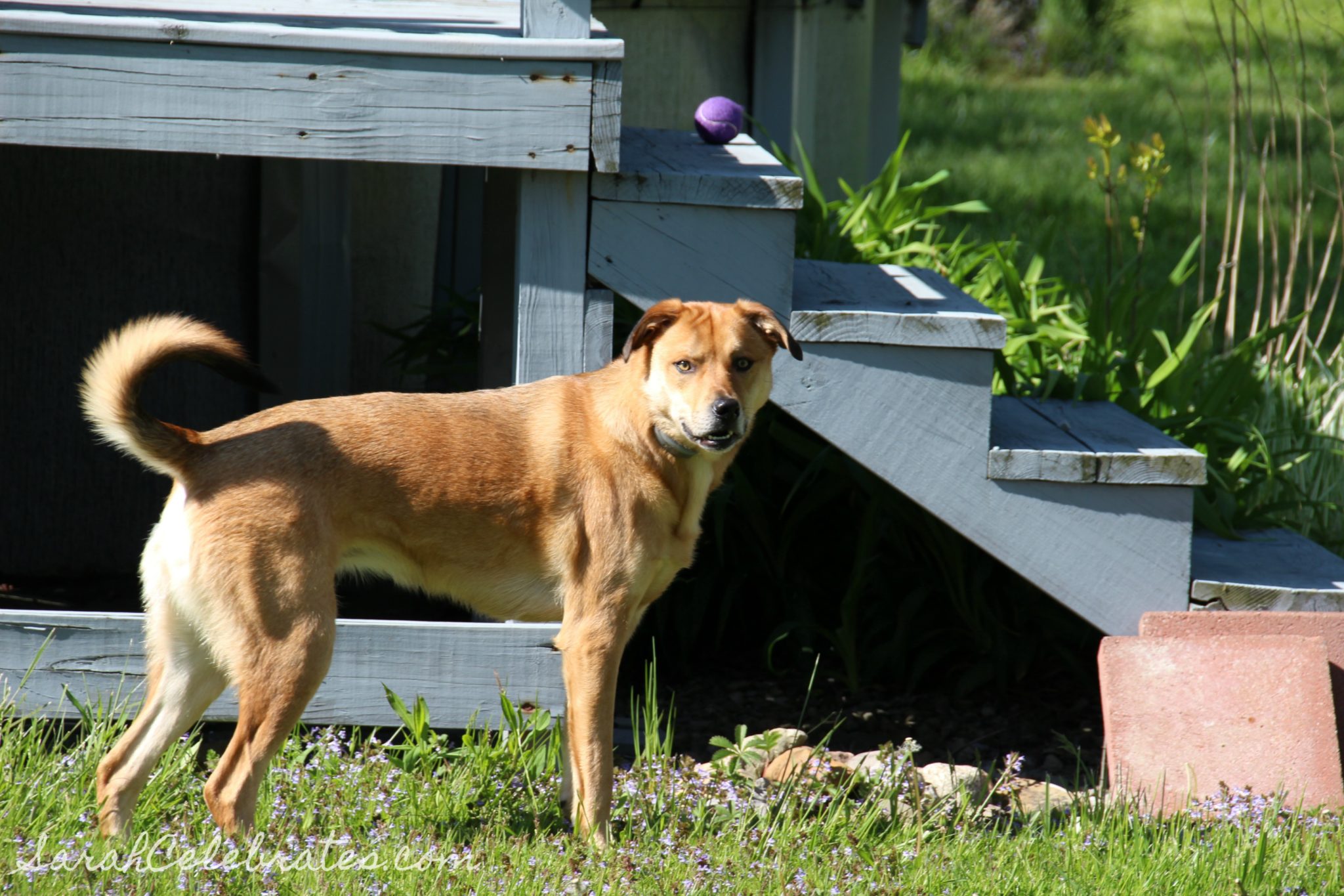 Are You Going To Throw It #Captured