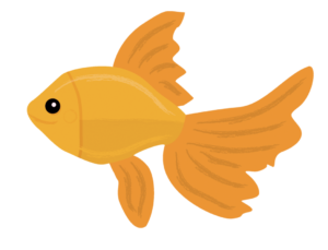 Sarah Celebrates Goldfish